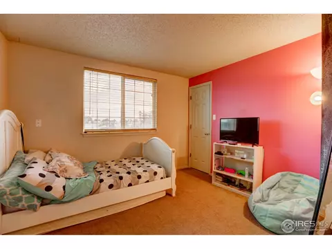 5340 Fox Run Blvd, Frederick, CO 80504 photo 21