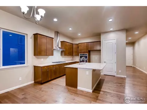 6019 Chantry Dr, Windsor, CO 80550 photo 11