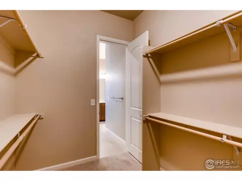 6019 Chantry Dr, Windsor, CO 80550 photo 18