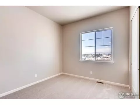 6037 Chantry Dr, Windsor, CO 80550 photo 24