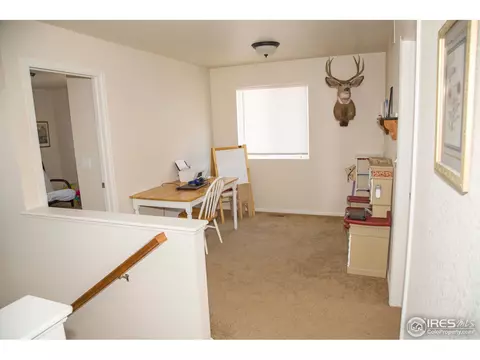 7482 Hickory Cir, Frederick, CO 80504 photo 27