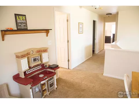 7482 Hickory Cir, Frederick, CO 80504 photo 29
