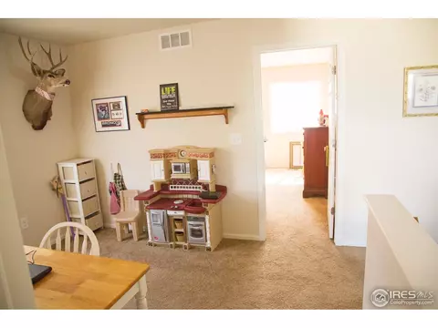 7482 Hickory Cir, Frederick, CO 80504 photo 28