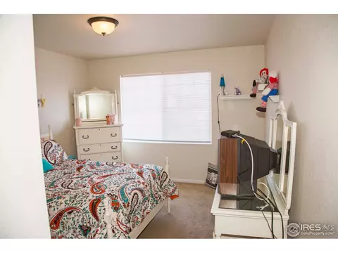 7482 Hickory Cir, Frederick, CO 80504 photo 22