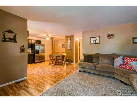113 Keep Cir, Berthoud, CO 80513 photo 5