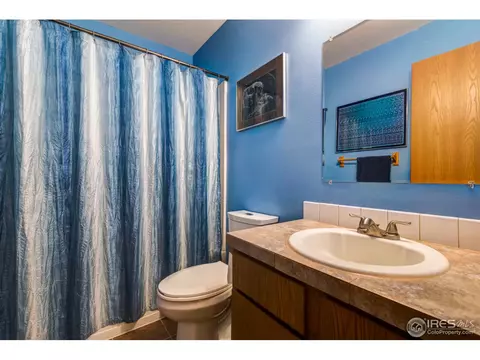 113 Keep Cir, Berthoud, CO 80513 photo 19