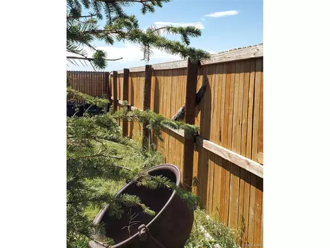 44810 Wolf Creek Dr, Bennett, CO 80102 photo 14