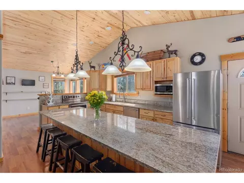 217 Peak View Dr, Twin Lakes, CO 81251