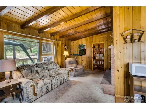 195 Hemlock Dr, Lyons, CO 80540 photo 12