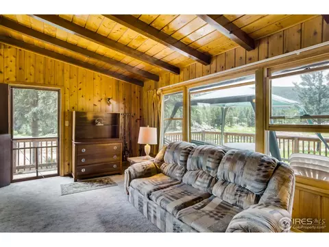 195 Hemlock Dr, Lyons, CO 80540 photo 16
