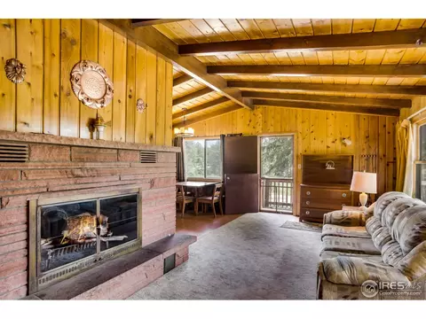 195 Hemlock Dr, Lyons, CO 80540 photo 11
