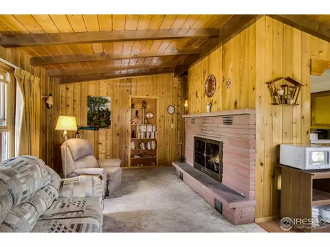 195 Hemlock Dr, Lyons, CO 80540 photo 10