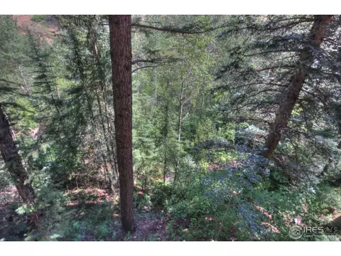 983 Streamside Dr, Glen Haven, CO 80532 photo 19
