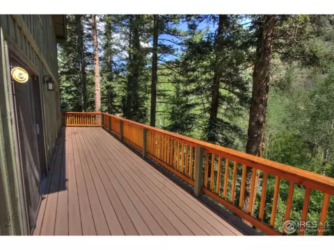 983 Streamside Dr, Glen Haven, CO 80532 photo 16