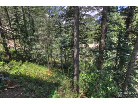 983 Streamside Dr, Glen Haven, CO 80532 photo 18
