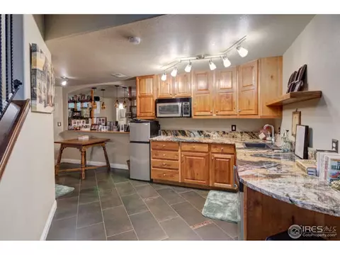 5471 Peak View Ct, Windsor, CO 80550 photo 29