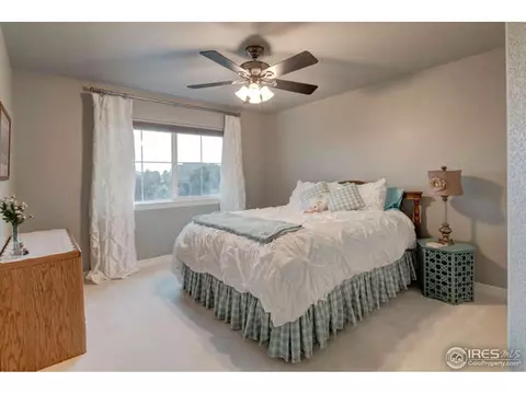 5471 Peak View Ct, Windsor, CO 80550 photo 24