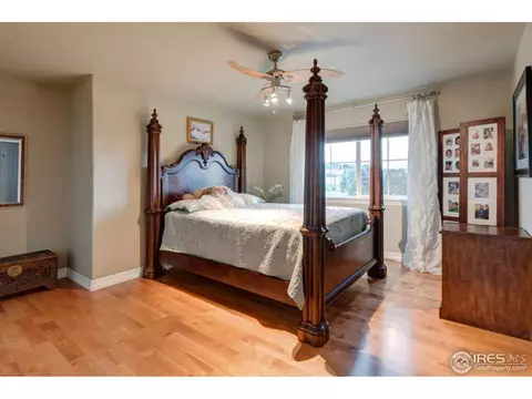 5471 Peak View Ct, Windsor, CO 80550 photo 22