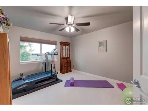 5471 Peak View Ct, Windsor, CO 80550 photo 26