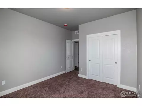 514 Vivian St, Severance, CO 80546 photo 16