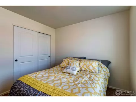 1003 Cherrybrook Dr, Windsor, CO 80550 photo 29