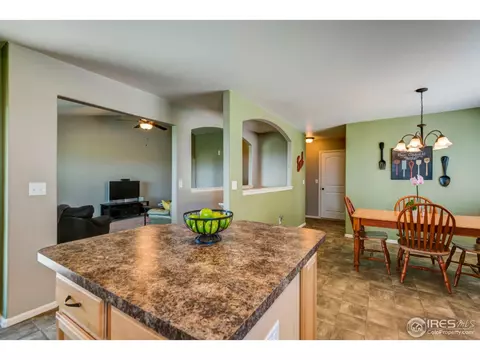 1003 Cherrybrook Dr, Windsor, CO 80550 photo 19