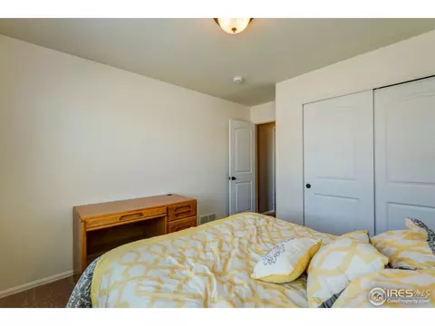 1003 Cherrybrook Dr, Windsor, CO 80550 photo 26