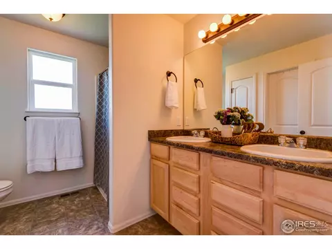 1003 Cherrybrook Dr, Windsor, CO 80550 photo 25