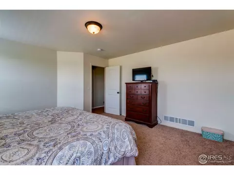 1003 Cherrybrook Dr, Windsor, CO 80550 photo 23