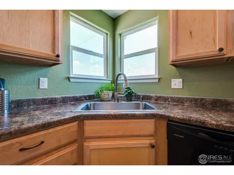 1003 Cherrybrook Dr, Windsor, CO 80550 photo 17