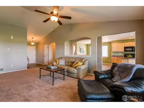 1003 Cherrybrook Dr, Windsor, CO 80550 photo 7