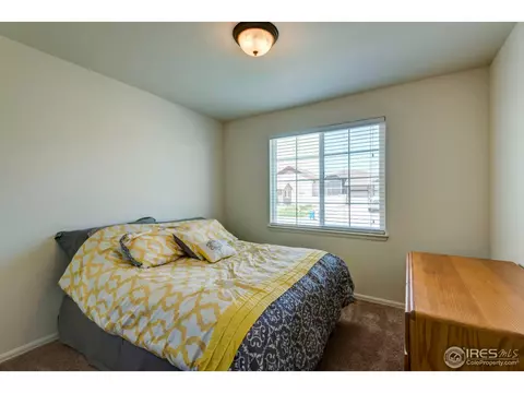 1003 Cherrybrook Dr, Windsor, CO 80550 photo 28