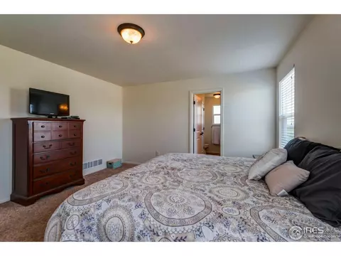 1003 Cherrybrook Dr, Windsor, CO 80550 photo 22