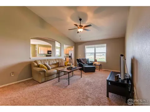1003 Cherrybrook Dr, Windsor, CO 80550 photo 8