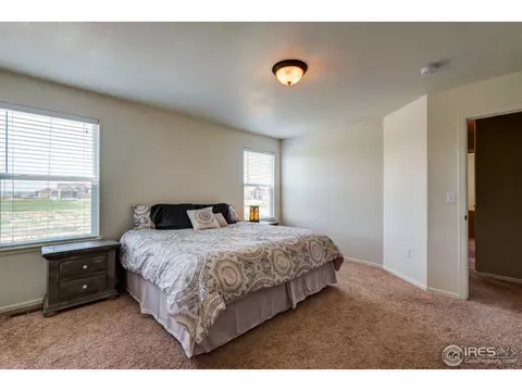 1003 Cherrybrook Dr, Windsor, CO 80550 photo 24