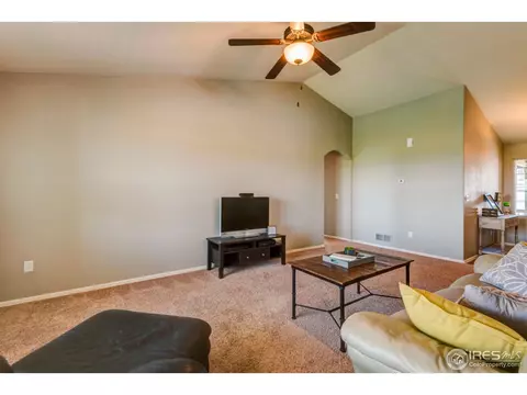 1003 Cherrybrook Dr, Windsor, CO 80550 photo 10
