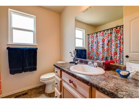 1003 Cherrybrook Dr, Windsor, CO 80550 photo 30