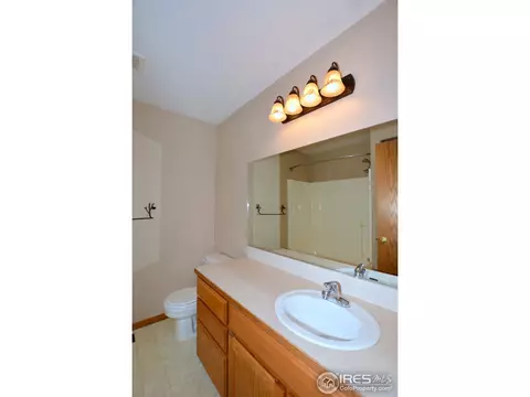 309 Marble Ct, Windsor, CO 80550 photo 20