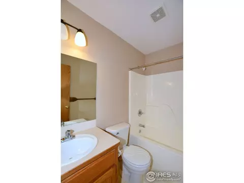 309 Marble Ct, Windsor, CO 80550 photo 29
