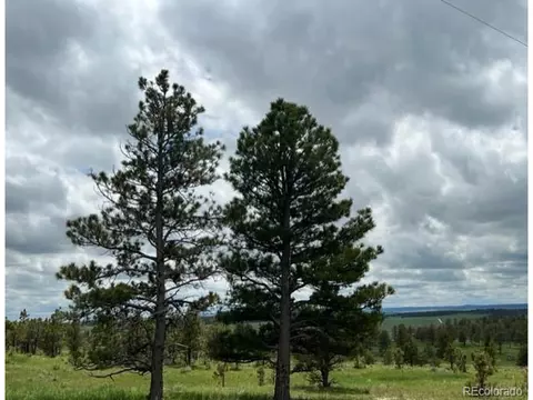 31963 Ridge Rd, Ramah, CO 80832