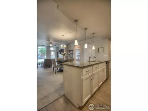 6650 Crystal Downs Dr #101, Windsor, CO 80550 photo 22