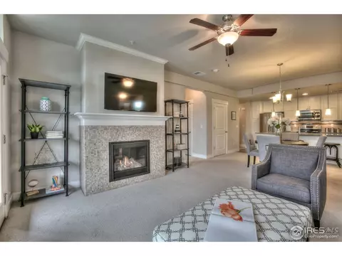 6650 Crystal Downs Dr #101, Windsor, CO 80550 photo 7