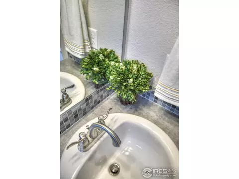 6650 Crystal Downs Dr #101, Windsor, CO 80550 photo 29