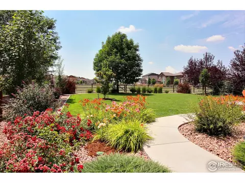 5701 Mid Pointe Dr, Windsor, CO 80550 photo 35
