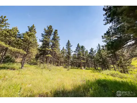 471 Flint Gulch Rd, Lyons, CO 80540 photo 30