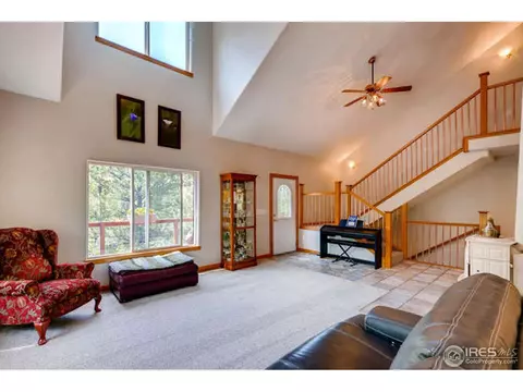 471 Flint Gulch Rd, Lyons, CO 80540 photo 5