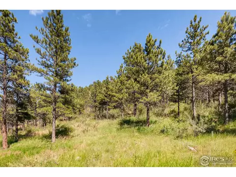 471 Flint Gulch Rd, Lyons, CO 80540 photo 29