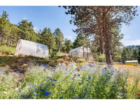 471 Flint Gulch Rd, Lyons, CO 80540 photo 31