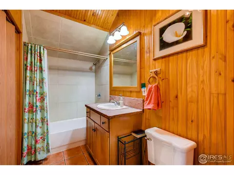 471 Flint Gulch Rd, Lyons, CO 80540 photo 19