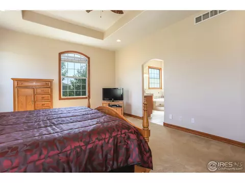 1268 Hilltop Cir, Windsor, CO 80550 photo 20